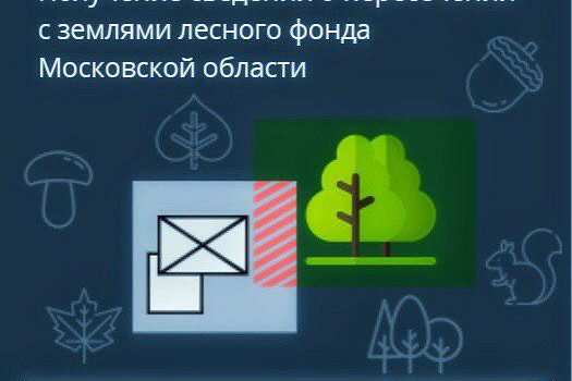 Комитет лесного хозяйства Московской области на портале государственных услуг запустил СУПЕРСЕРВИС!