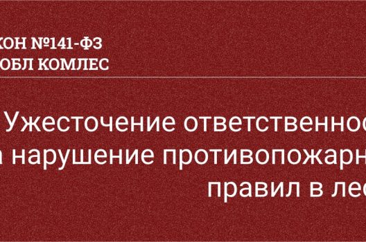 В силу вступает закон, который должен защитить лес