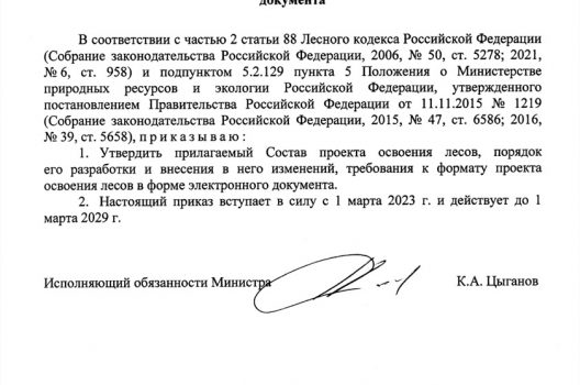 Проект освоения лесов в формате XML