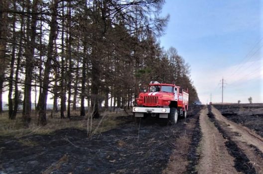 10 апреля в лесах Московской области открыт пожароопасный сезон